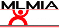 MLM International Assocaition